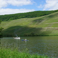 DSC08224